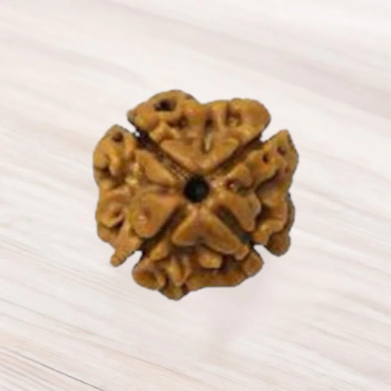 Four Mukhi Rudraksha