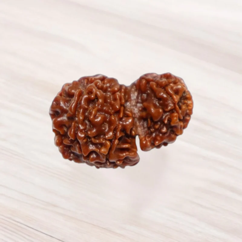 Gauri Ganesh Rudraksha