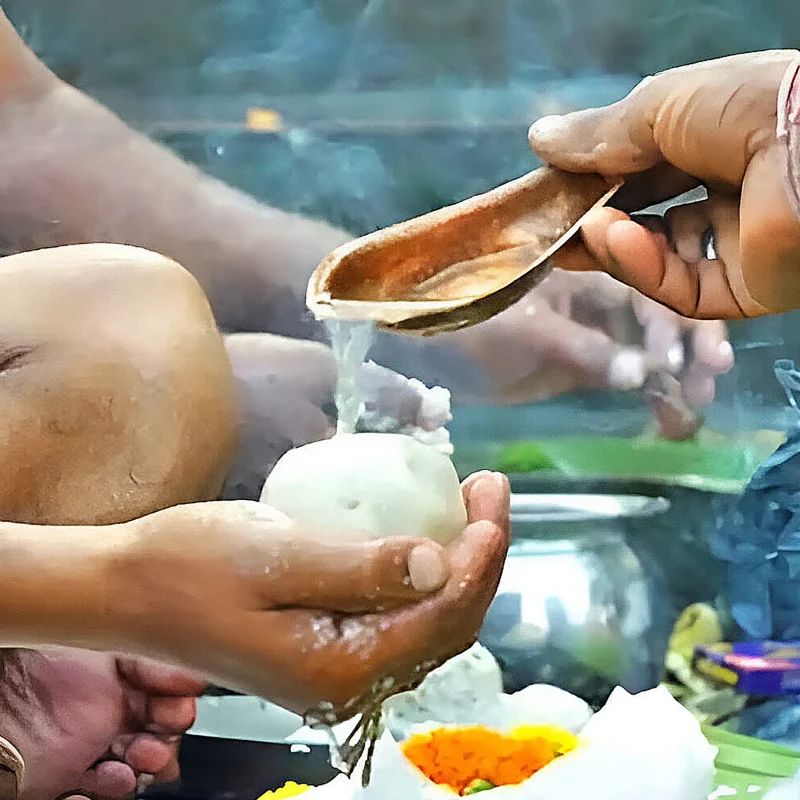 Pitru Dosh Shanti Puja
