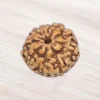Seven Mukhi Rudraksha