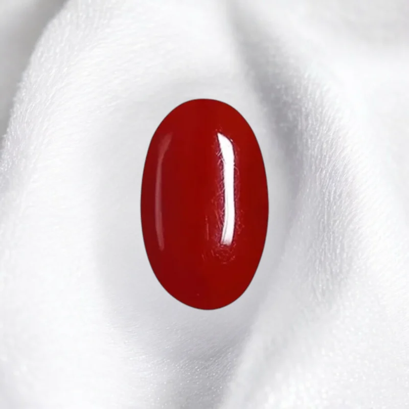 Oval shape red coral