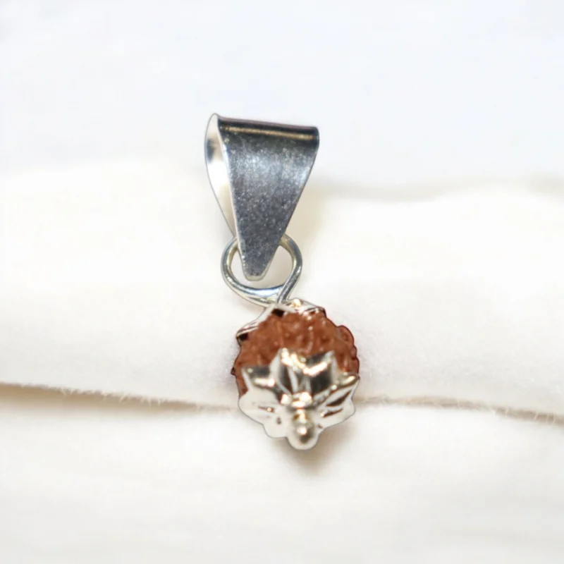 10 Mukhi Rudraksha Pendent