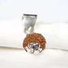 12 Mukhi Rudraksha Pendent
