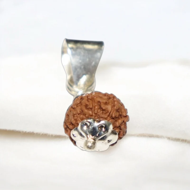 12 Mukhi Rudraksha Pendent