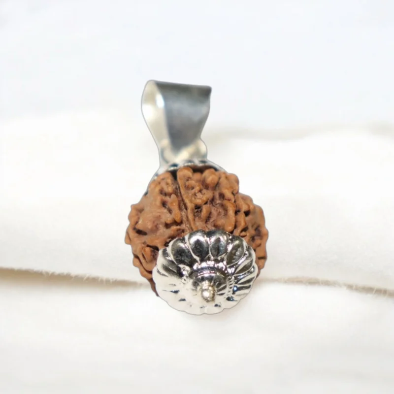 13 Mukhi Rudraksha Pendent