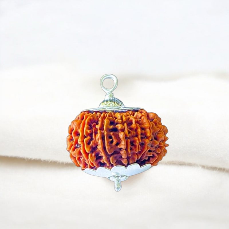 14 Mukhi Rudraksha Pendent