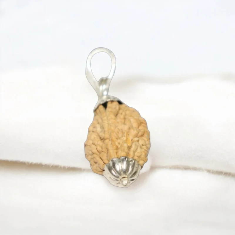 2 Mukhi Rudraksha Pendant