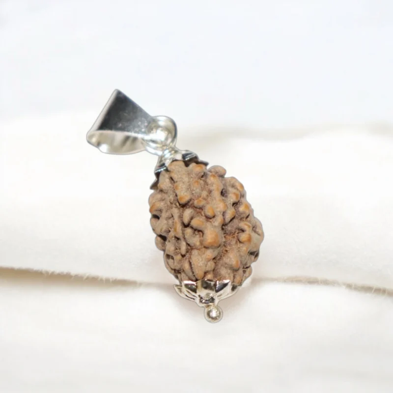 3 Mukhi Rudraksha Pendent