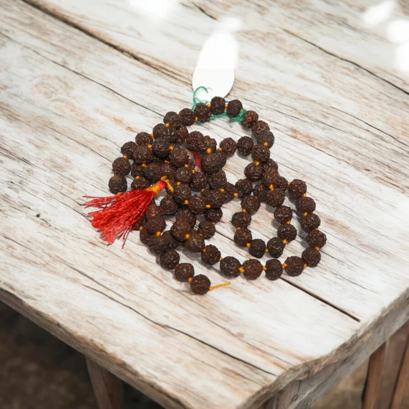 5 Mukhi Rudraksha Black Mala