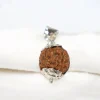 6 Mukhi Rudraksha Pendent
