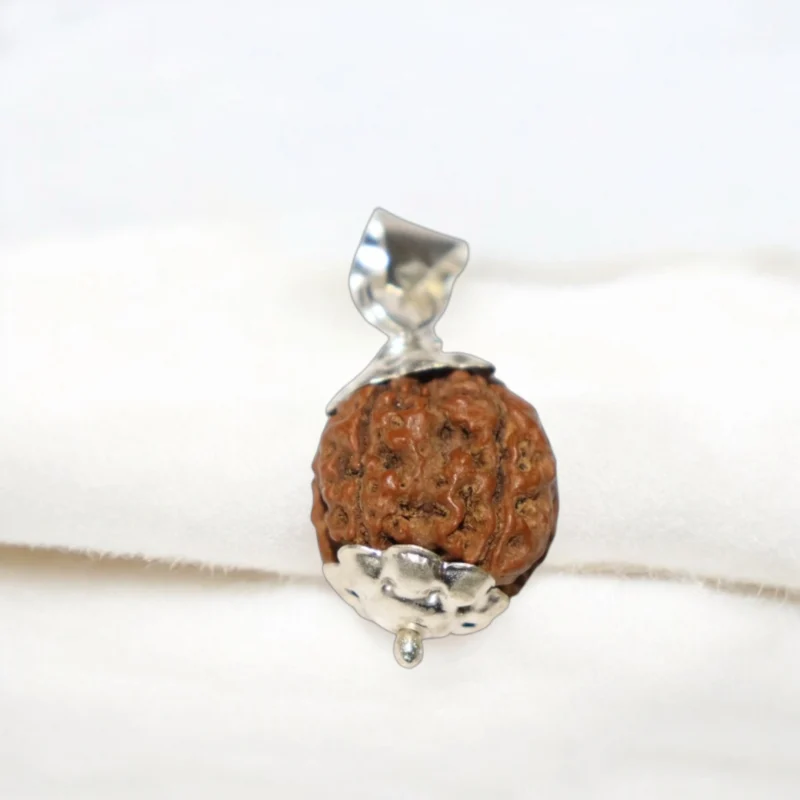 6 Mukhi Rudraksha Pendent
