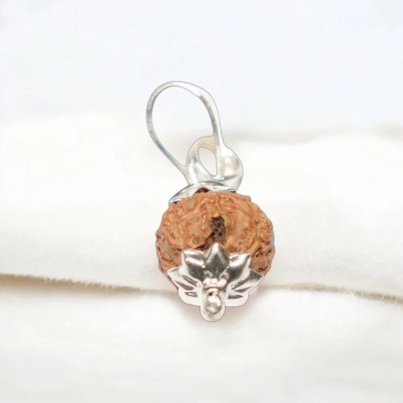 7 Mukhi Rudraksha Pendent