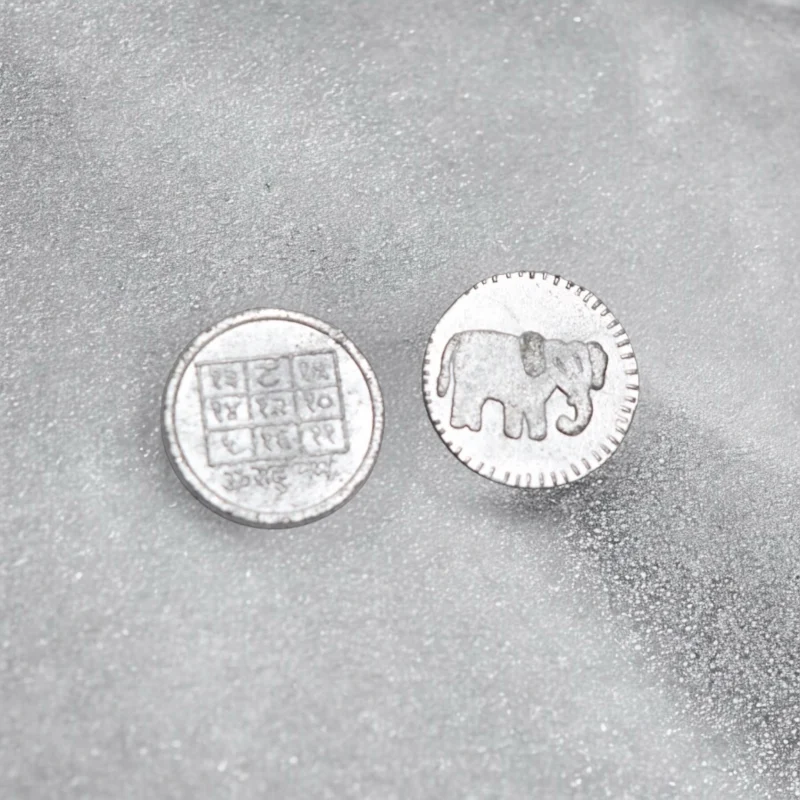 Led Ranga Elephant Coin