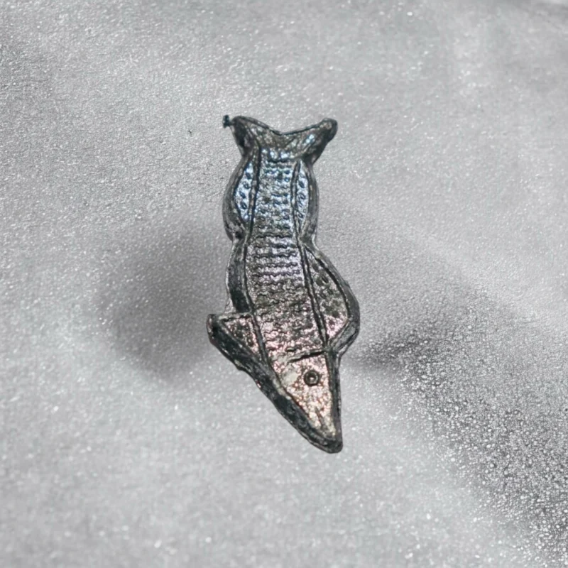 Led Ranga Fish
