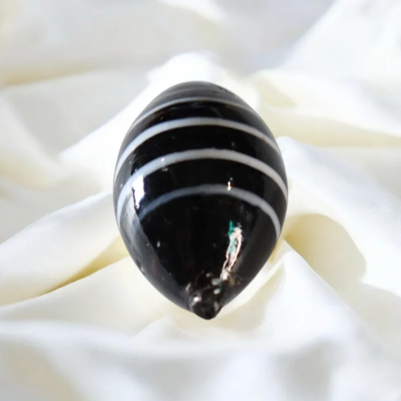 Shaligram Stone