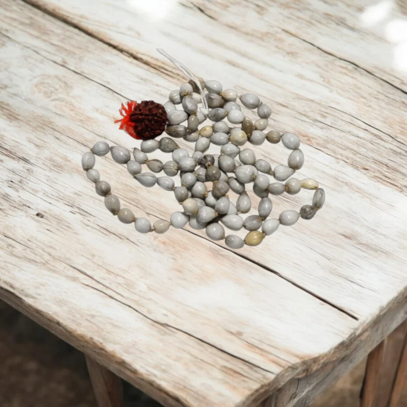Vaijanti Mala