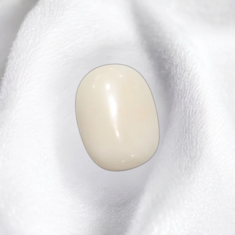 White Coral Oval