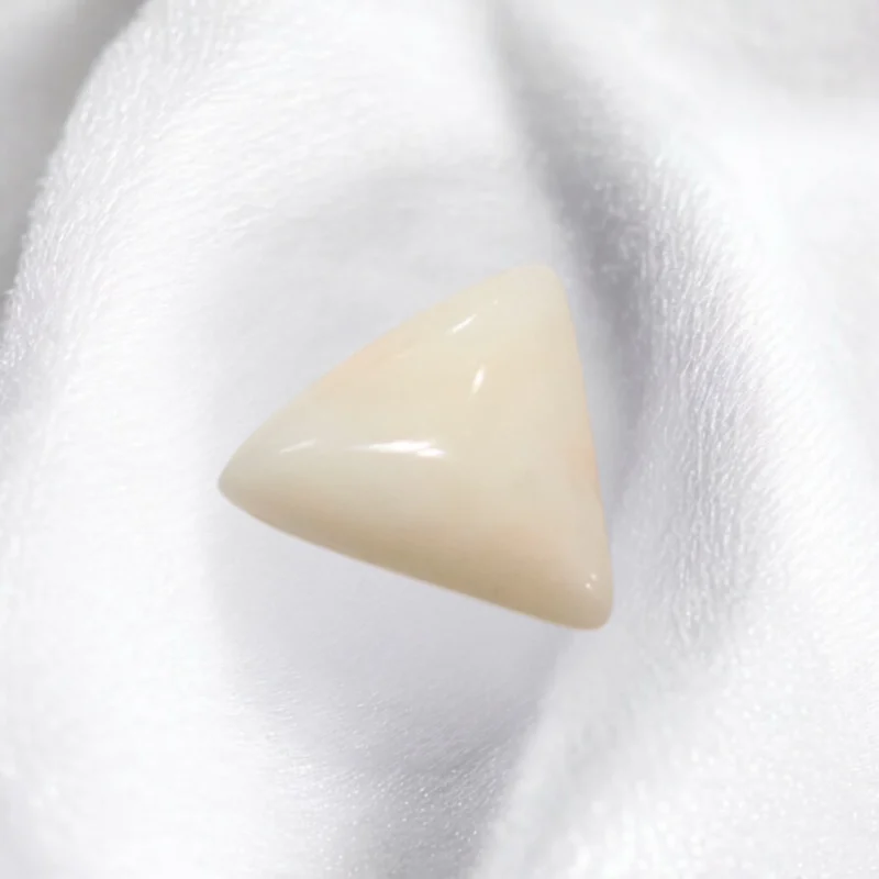 White Coral Trangular